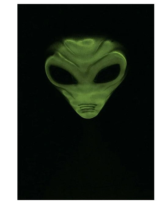 Alien Visitor Mask - Light Up - Attached Hood - Costume Accessory - One Size
