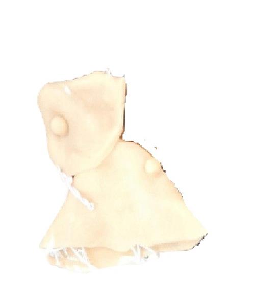 Witch Nose & Chin - Natural - Theatrical Makeup - One Size