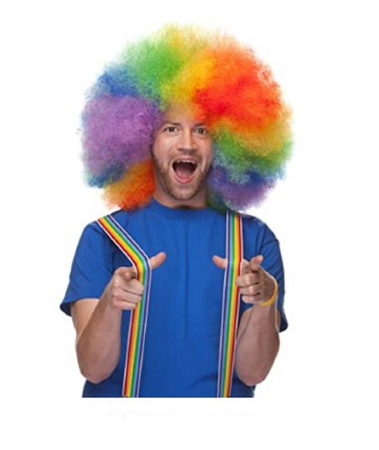 Afro Wig - Rainbow - Pride 1960's 1970's Clown - Costume Accessory - Adult Teen