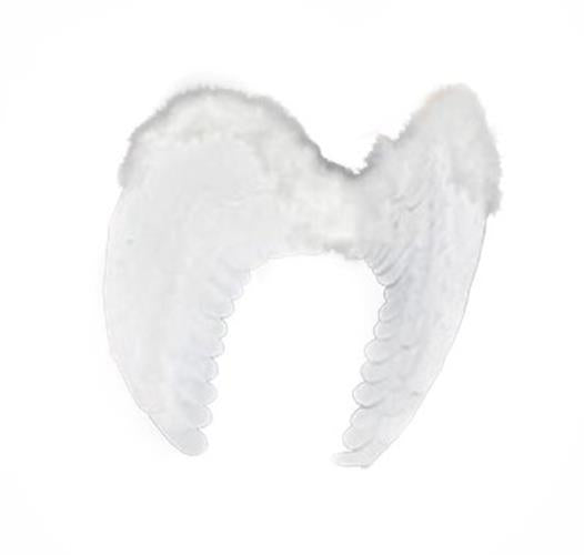 Angel Wings - Curved - Velour - Costume Accessory - Teen Adult