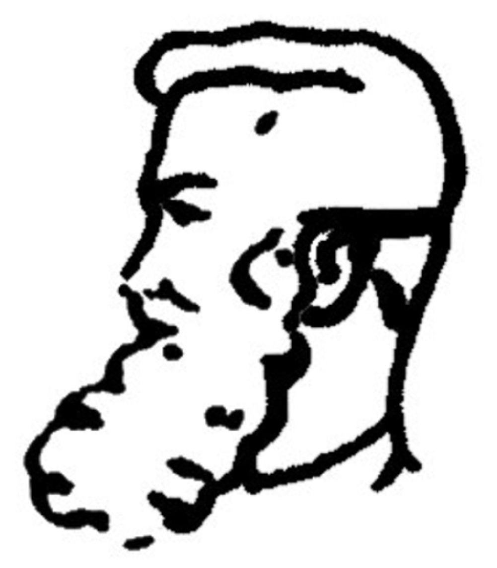 Set Peluca/Barba Ultra Santa - Profesional - Navidad - Accesorio Disfraz Adulto