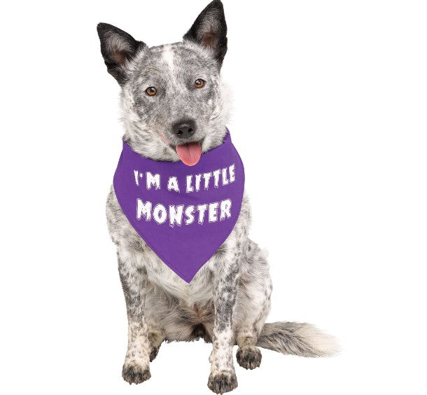 Halloween Pet Bandana - White - Small/Medium - Accessory