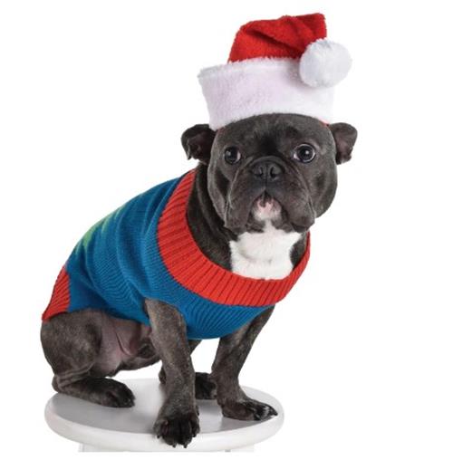 Santa Hat - Christmas - Pet - Costume Accessory - 2 Sizes