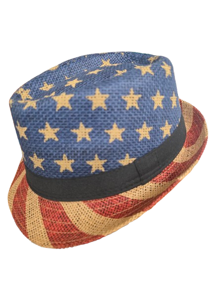 Patriotic Straw Fedora Hat - 4th of July - Costume Accessory - One Size