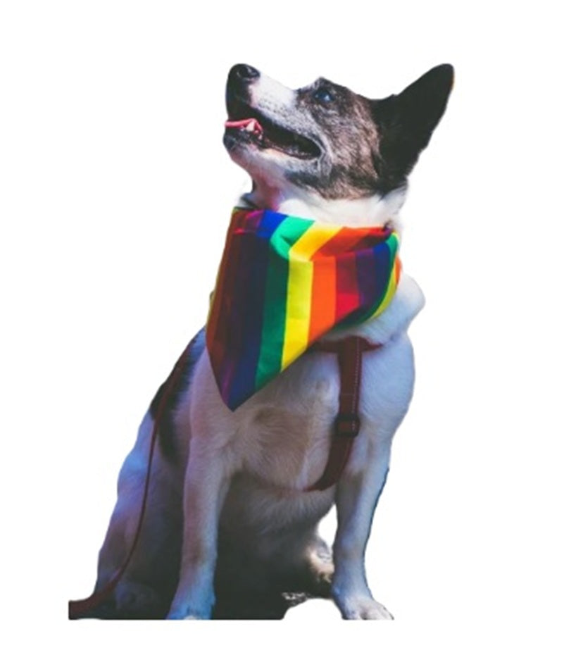 Rainbow Striped Bandana - Pride - Lightweight - Costume Accessory