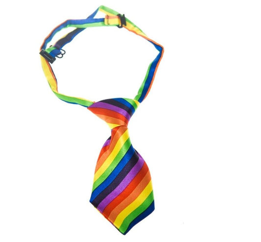 Regenbogen-Hundekrawatte – Pride – Parade – Fotos – Accessoire – Einheitsgröße