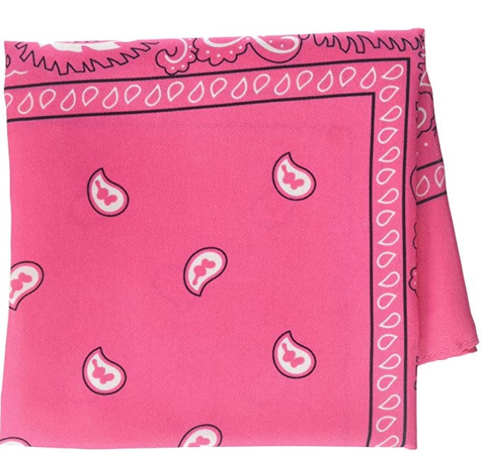 Pink Paisley Bandana - Cowgirl - Versatile - Costume Accessory - One Size