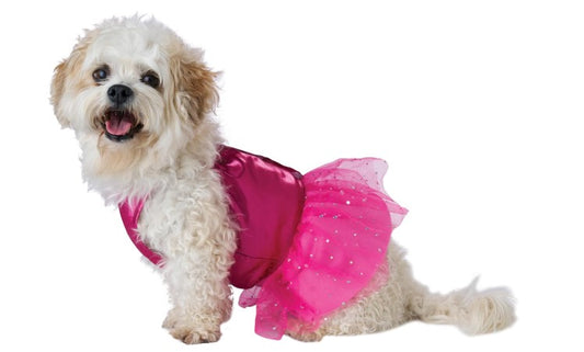 Barbie - Day to Night - Dog Costume - Pet - 3 Sizes