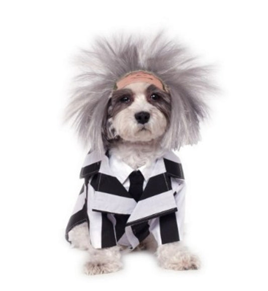 Beetlejuice - Movie - Pet - Dog Costume - 4 Sizes