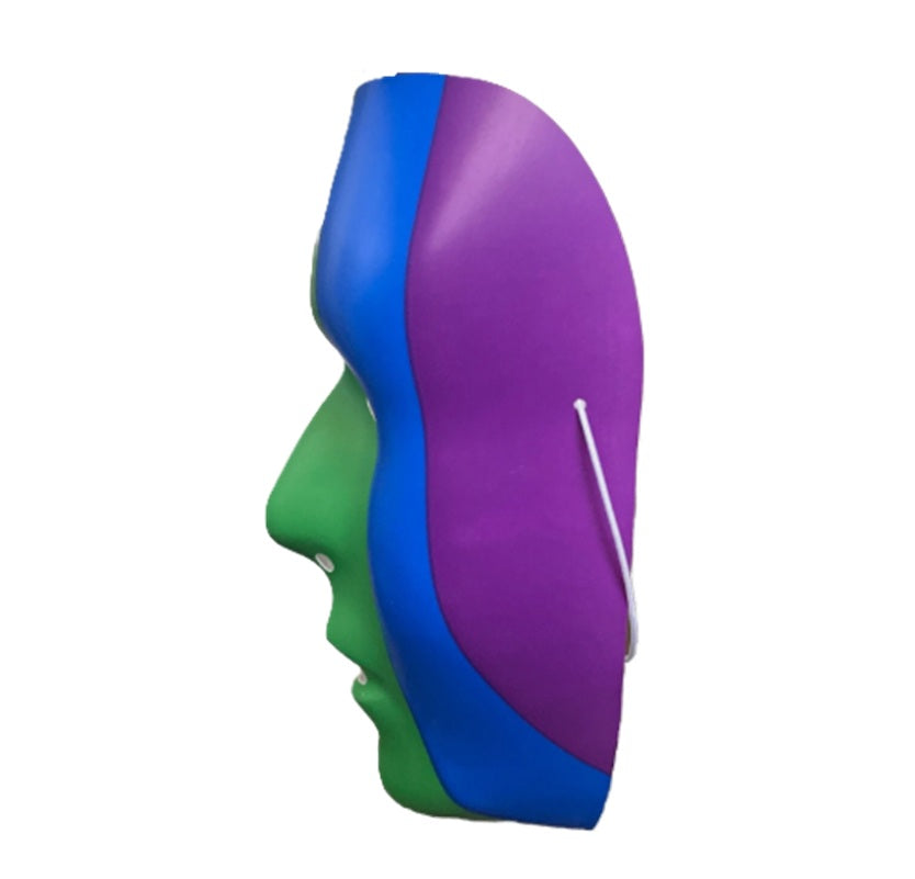 Rainbow Blank Mask - Pride - Plastic - Costume Accessory - One Size