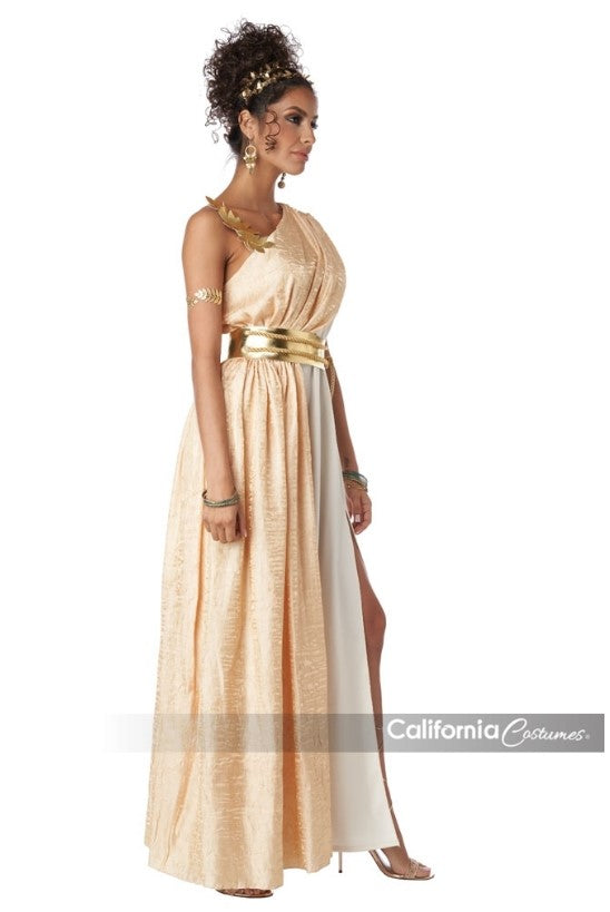 Roman Greek Golden Goddess - Toga - Costume - Adult - 4 Sizes