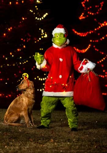 Max the Dog Headband - Grinch - Dog or Human - Costume Accessory - One Size