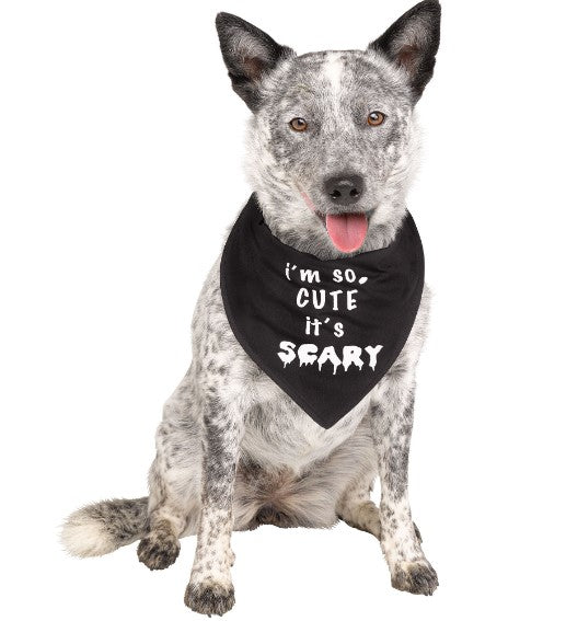 Halloween Pet Bandana - Small/Medium - Accessory - 3 Colors