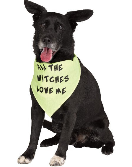 Halloween Pet Bandana - Small/Medium - Accessory - 3 Colors