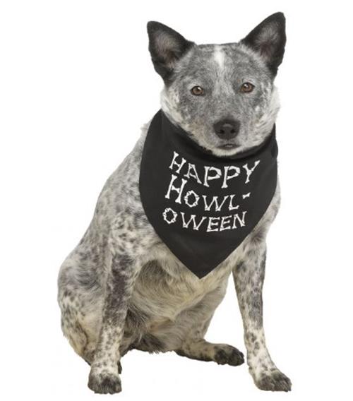 Halloween Pet Bandana - Happy Howl-oween - Small/Medium - Accessory - 3 Colors