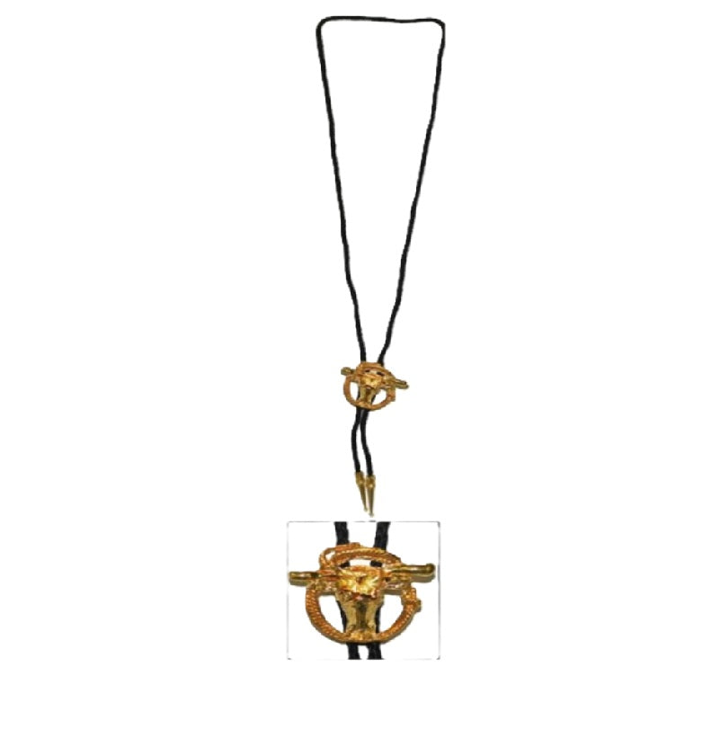 Bolo Western Tie Necklace - Costume Accessory - One Size - 3 Styles