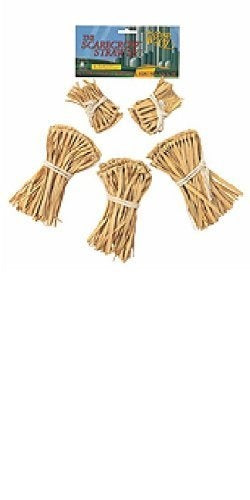 Scarecrow Straw Accessory Kit- The Wizard of Oz - Costume Accessories - OSFM