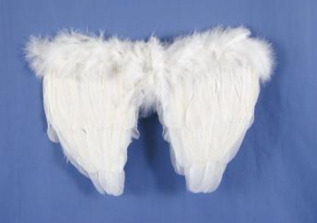 Mini Angel Wings - Pluma - Accesorio de vestuario - Cosplay - Adolescente adulto - 2 colores