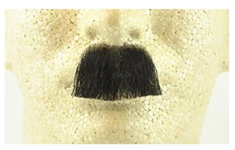 Bigote de Charlie Chaplin - Negro - Accesorio de disfraz - Adulto adolescente