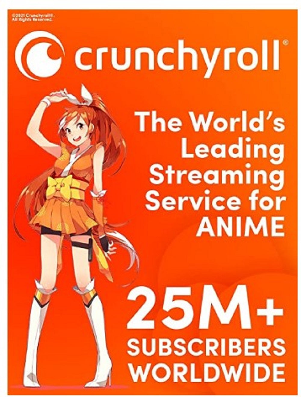 Crunchyroll Wig Long Straight - 2-Tone - Anime - Costume Accessory - Adult Teen