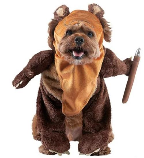 Ewok - Star Wars - Dog Costume - Size - Medium