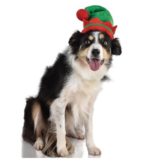 Elf Hat - Christmas - Pet - Costume Accessory - 2 Sizes