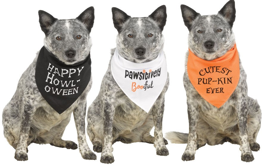Halloween Pet Bandana - Happy Howl-oween - Large/XL - Accessory - 3 Colors