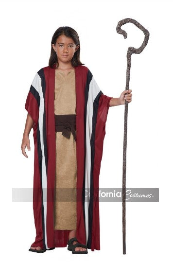 Large Shepherd Staff - Brown - Moses - Biblical - Wise Man - Costume Accessory