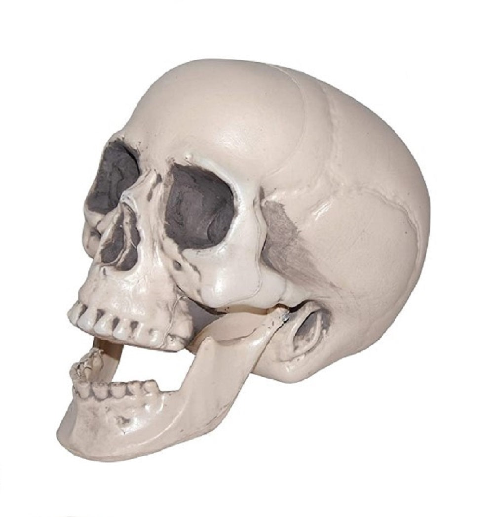 amscan 1 pc. Jointed Mouth Plastic Skull Decor | Multicolor | 1pc