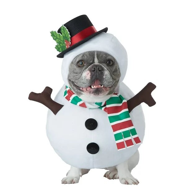 Snow Pup - Snowman - Christmas - Winter - Pet Costume - 2 Sizes