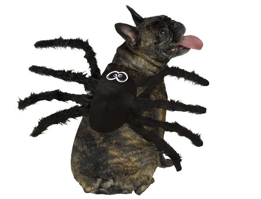 Spider Pet - Dog Costume - 2 Sizes