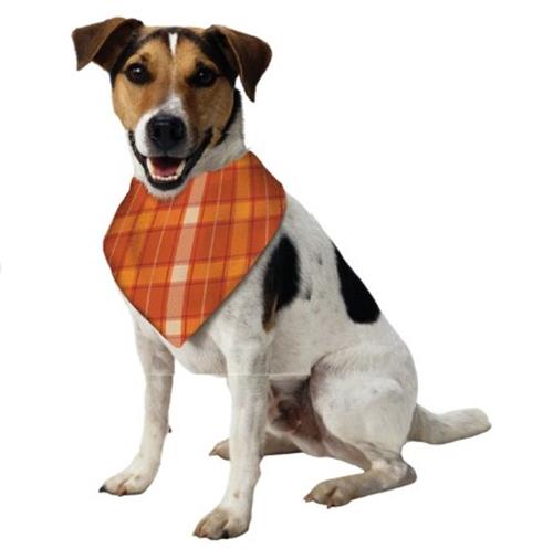 Turkey Tester - Reversible Pet Bandana - Thanksgiving - Costume Accessory