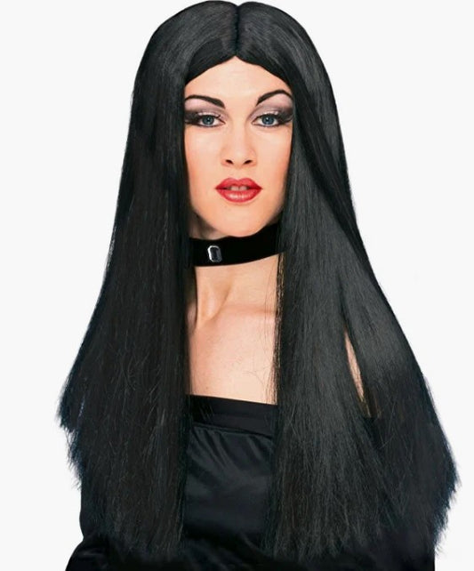Witch Wig - Hippie Cher Zombie - Black - 24" - Costume Accessory - Adult Teen